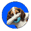 لوگو BaseHoundBot by Virtuals