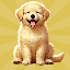 لوگو Golden Dog