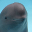 لوگو Miharu The Smiling Dolphin