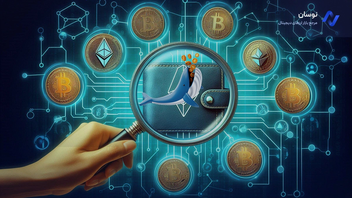 تفاوت ردیابی کیف پول نهنگ ها با کیف پول های عمومی| نوسان